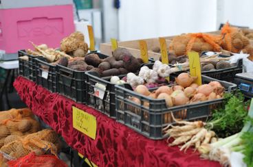 uż rok działają w Łodzi ryneczki „Prosto od rolnika”